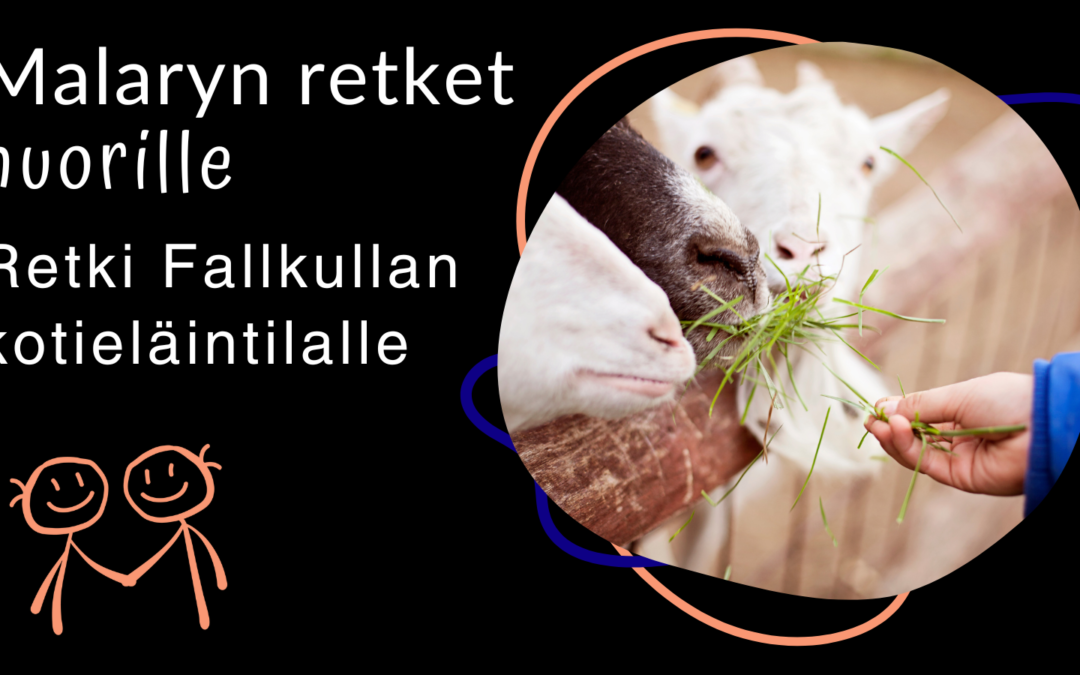 Nuorten retki Fallkullan kotieläintilalle
