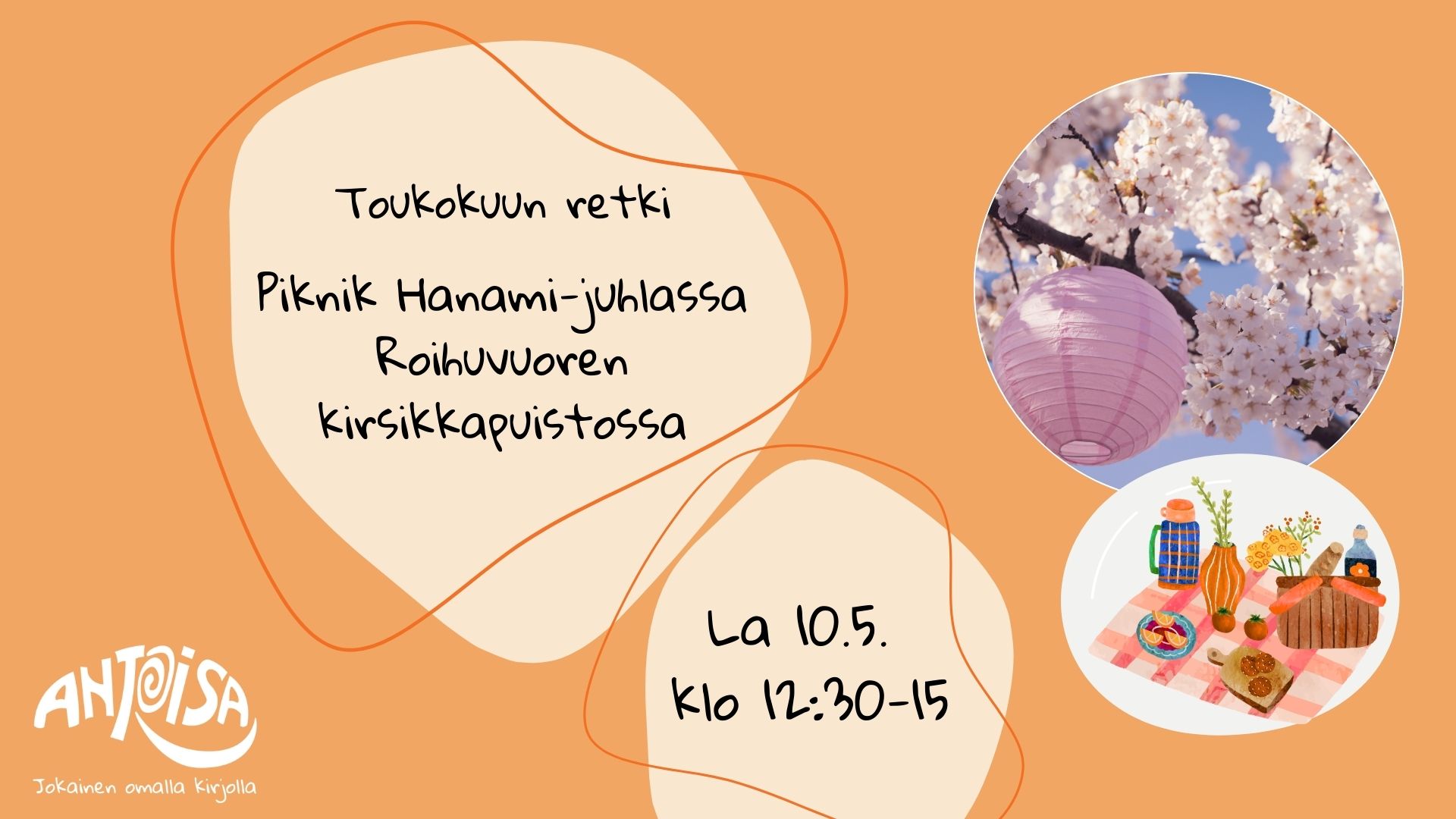 ANTOISAn toukokuun retkikohde on Hanami-juhla. Lauantaina 10.5. Oranssilla pohjalla kuva kirsikankukista ja picnicistä.