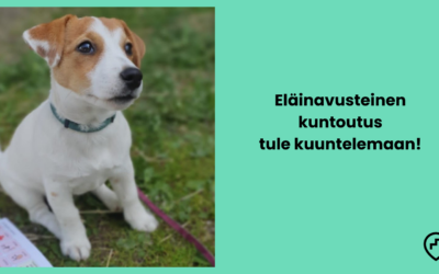 Eläinavusteiset kuntoutuspalvelut käytännössä