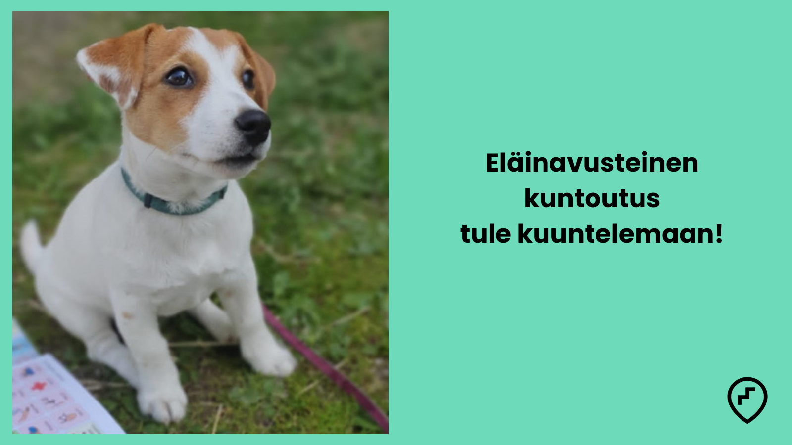 Eläinavusteinen koulutus -tilaisuus 10.4.2026